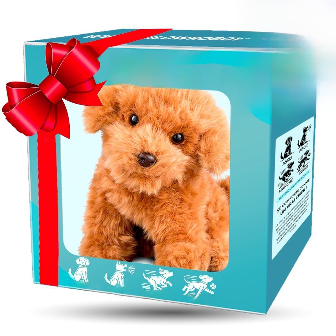 Dog & Cat Robot - iorahome