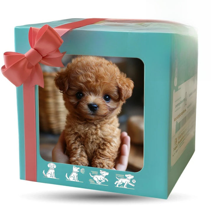 Dog & Cat Robot - iorahome