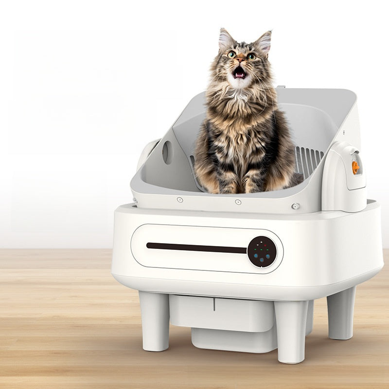 Cat sitting inside a modern pet litterbox on a wooden floor.