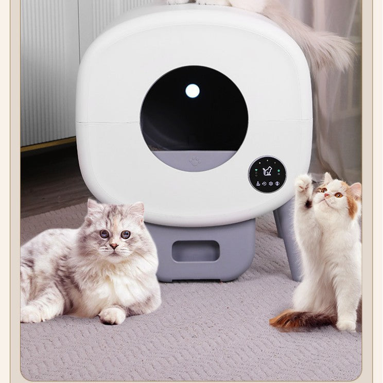 White and gray pet litter box with two cats interacting around it.