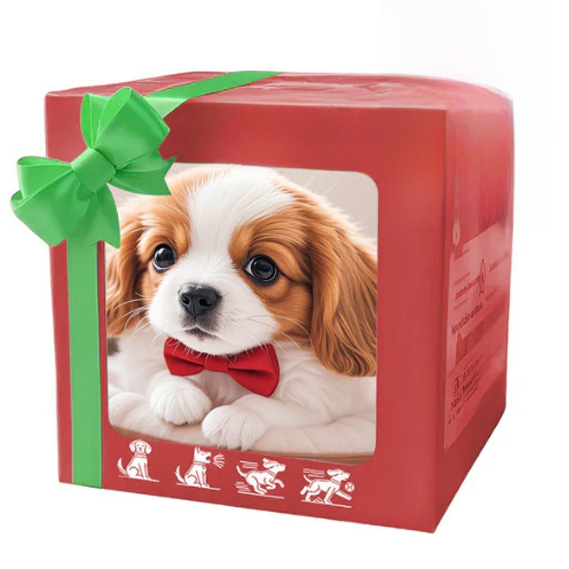 Dog & Cat Robot - iorahome