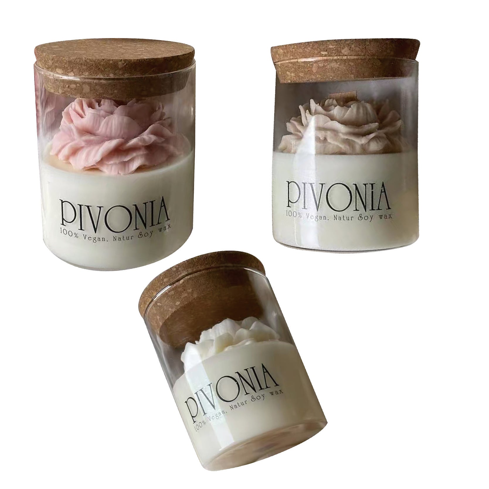 Three Pivonia candles in glass jars with wooden lids on a white background