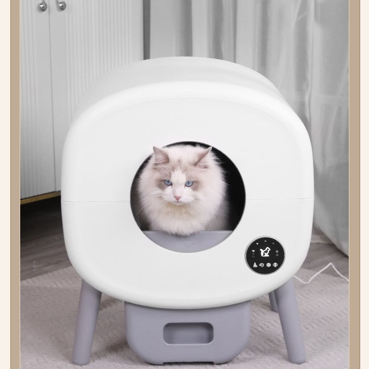 White pet litter box with a cat inside, on a wooden floor.